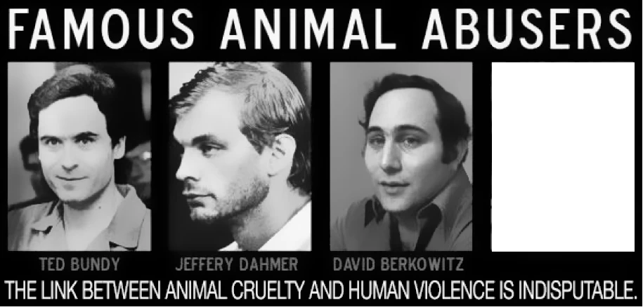Animal-ABUSERS