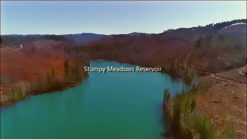 Stumpy Meadows 2022