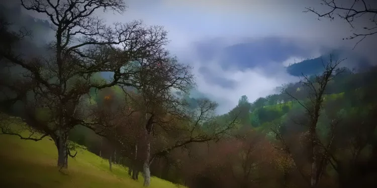 Foothills Countryside