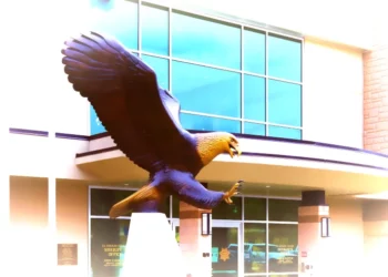 EDSO Eagle