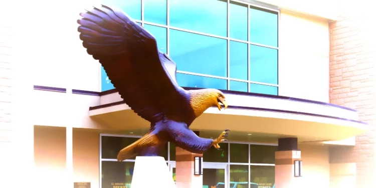 EDSO Eagle
