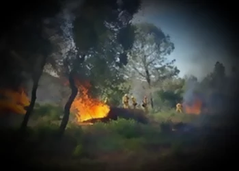 BLM To Oversee Pine Hill Preserve Pile Burn Operations