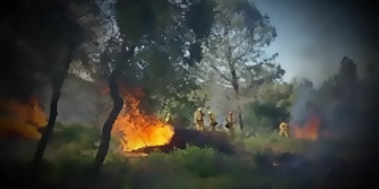 BLM To Oversee Pine Hill Preserve Pile Burn Operations