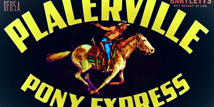 Placerville Pony Express Fruit Label