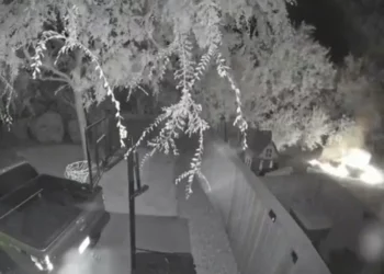 El Dorado Hills Yard Spontaneously Combusts