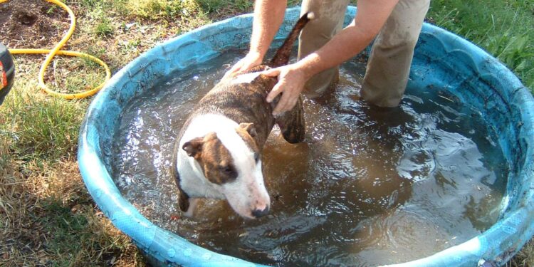 Hazardous Weather Conditions