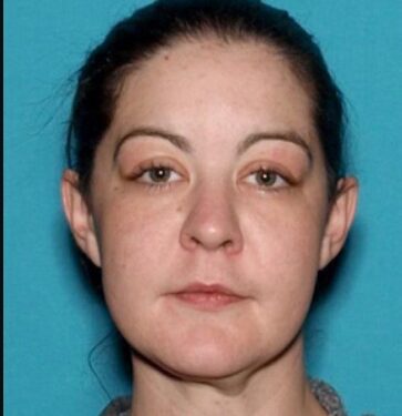 El Dorado County Sheriff Reports Body of Missing Person Sarah Liddicoat Found Near Georgetown Home