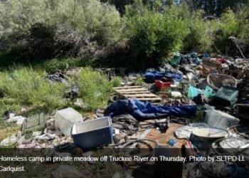 Two Arrested In South Lake Tahoe Meadow For Alleged Crimes