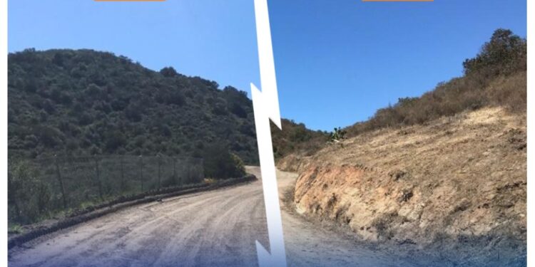 California Ramps Up Wildfire Prevention Work