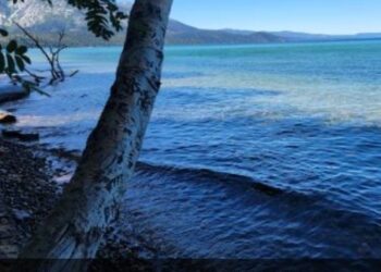 Commentary – Lake Tahoe is loved, but is there such a thing as “too much” love?