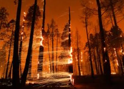 Fire Season is Upon Us