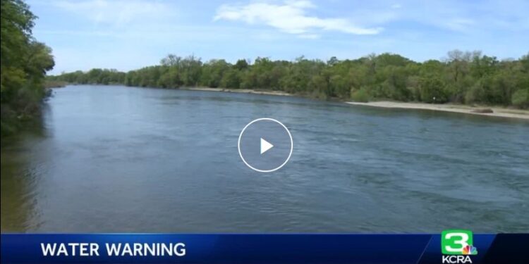 Body found at Folsom Lake near Rattlesnake Bar Identified