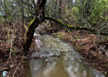 Water Agency Disaster Preparedness and Recovery Playbook