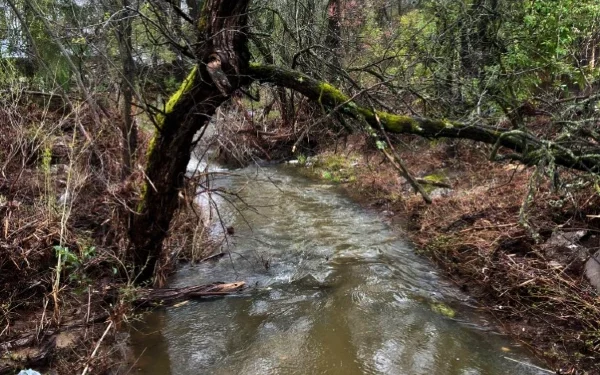 Water Agency Disaster Preparedness and Recovery Playbook