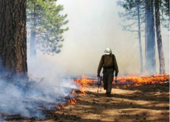 Weighing the Costs: Fire Suppression vs. Prescribed Fire