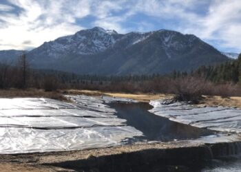 Invasive Plant Barrier Completed at Popular Lake Tahoe South Shore Marsh