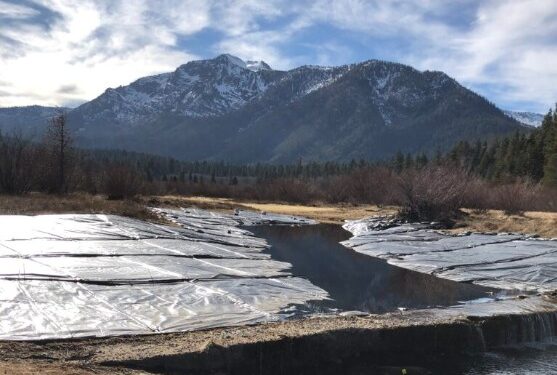Invasive Plant Barrier Completed at Popular Lake Tahoe South Shore Marsh