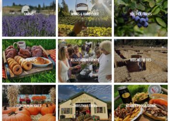 Apple Hill Harvest Season in Camino: Celebrating Nature’s Bounty and Family Traditions