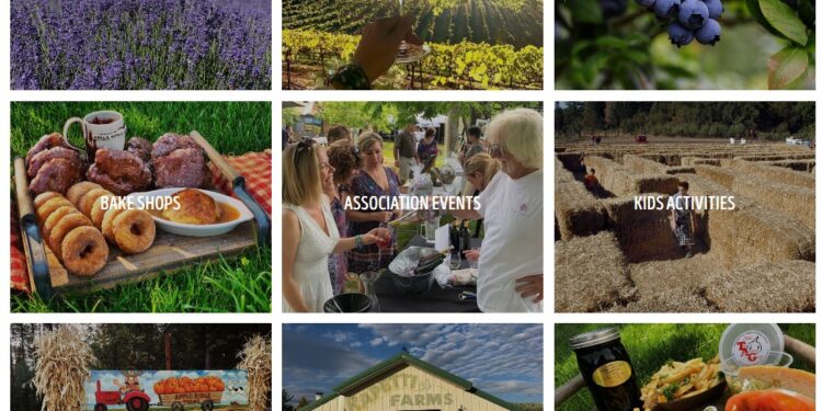 Apple Hill Harvest Season in Camino: Celebrating Nature’s Bounty and Family Traditions