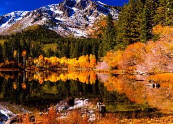 Lake Tahoe’s Stunning Fall Foliage: Exploring Nature’s Spectacular Canvas