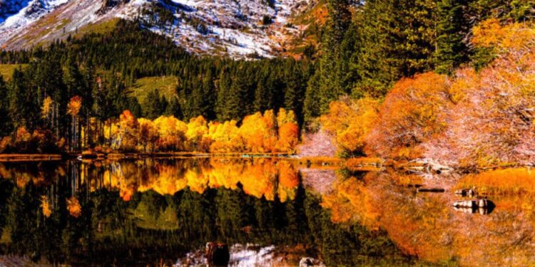 Lake Tahoe’s Stunning Fall Foliage: Exploring Nature’s Spectacular Canvas