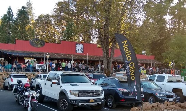 Revamping Traffic Management: Apple Hill Harvest Traffic Committee Takes the Lead