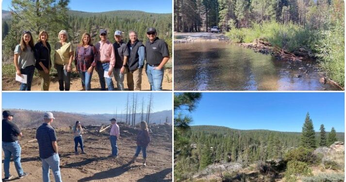 Alder Creek Reservoir