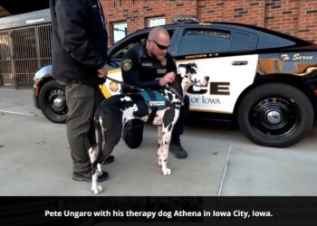 RESIDUAL: Cumulative Trauma and PTSD in First Responders