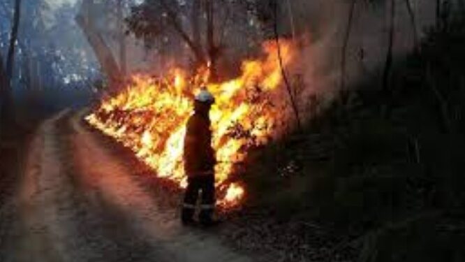 Fuels Reduction Burn Scheduled on the Sly Park Vegetation Management Project