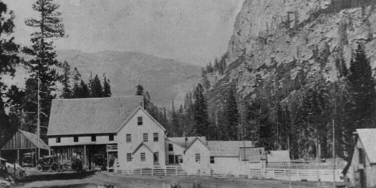 Strawberry was Paid For with Gold Bars