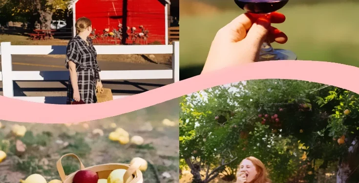 Bumper Harvest Brings Joy to El Dorado County’s Apple and Wine-Grape Growers