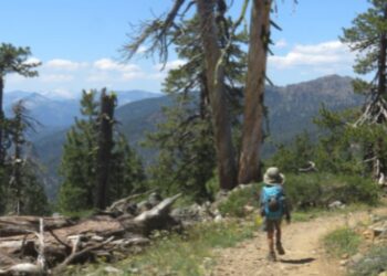 Your Feedback Can Shape the Future of Basin Wide Trails