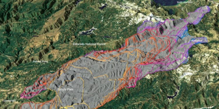 Rebuilding Paradise: Restoring the Ecosystem Through Tree Replanting in CALDOR Fire’s Aftermath