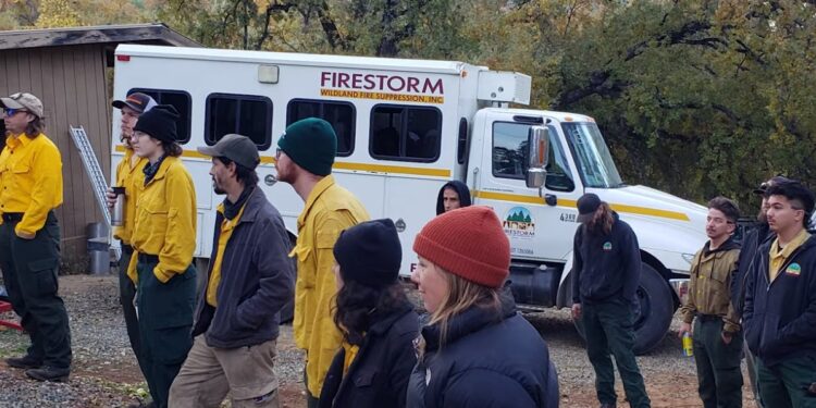 The Science Behind Prescribed Burning: A Closer Look