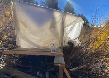 El Dorado County Sheriff’s Office Takes Action to Clean Up Illegal Camps with HOT
