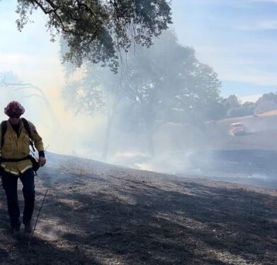 Stay Alert: Tips to Avoid Fires Caused by BBQ Smoker Ashes