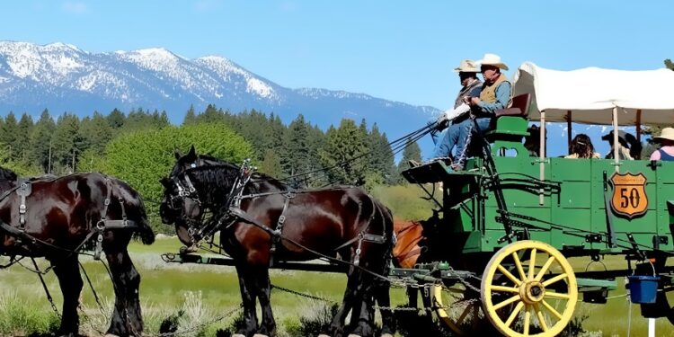 Highway 50 Association Wagon Train Ride: A Journey Through Time and Tradition