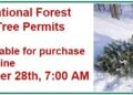 Eldorado National Forest Christmas Tree Permits Available Soon
