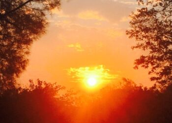 Placerville Experiencing Reduced Wind Patterns