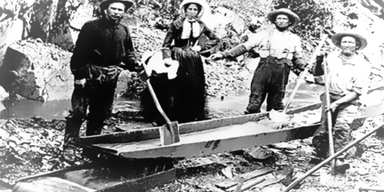 Dry Creek, California Nov 14th, 1850