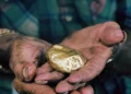 Gold Nugget in Working Hands