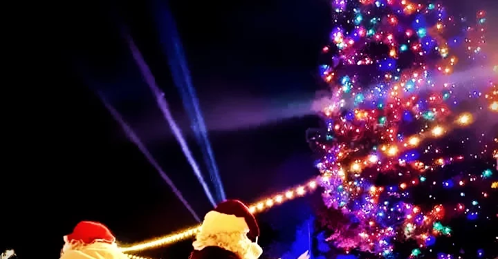 Placerville Christmas Tree Lighting