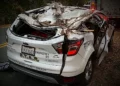 Tree falls on S.T.A.R car