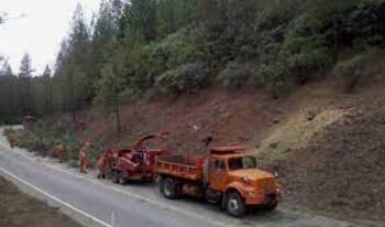 $117 Million Wildfire Prevention Grants Now Open for Community Safety