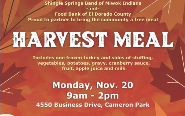 Harvest Meal Flyer