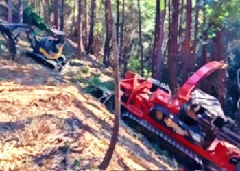 EID vegetation management