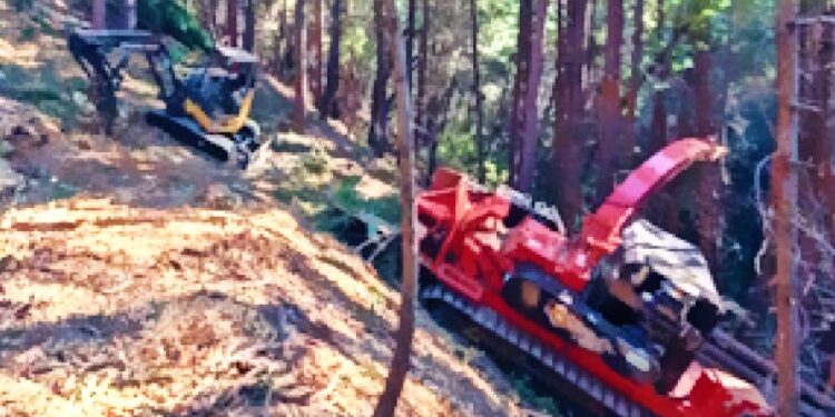 EID vegetation management