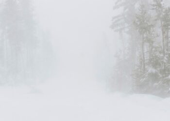 Whiteout Driving Conditions