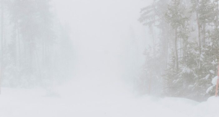 Whiteout Driving Conditions