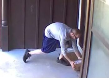 Thwart Porch Pirates